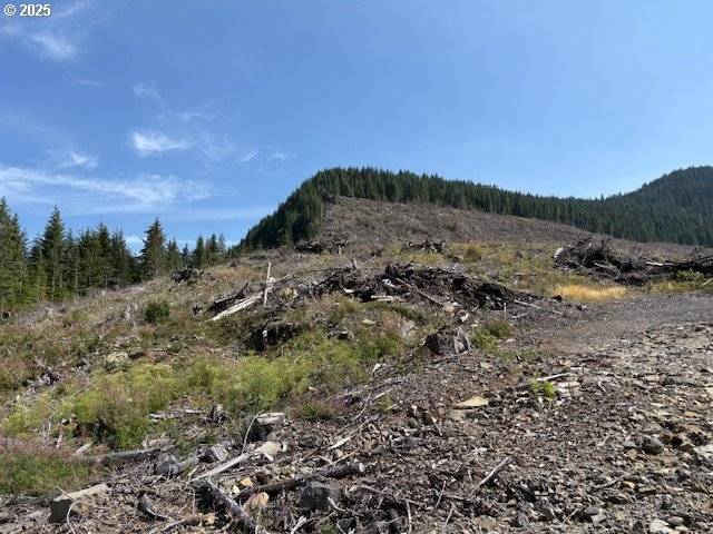 000 UPPER NEAL CREEK RD #(160), Scio, OR 97374
