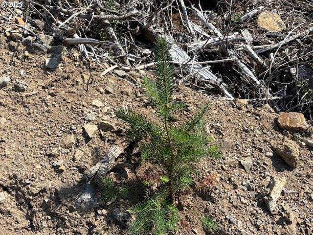 000 UPPER NEAL CREEK RD #(160), Scio, OR 97374