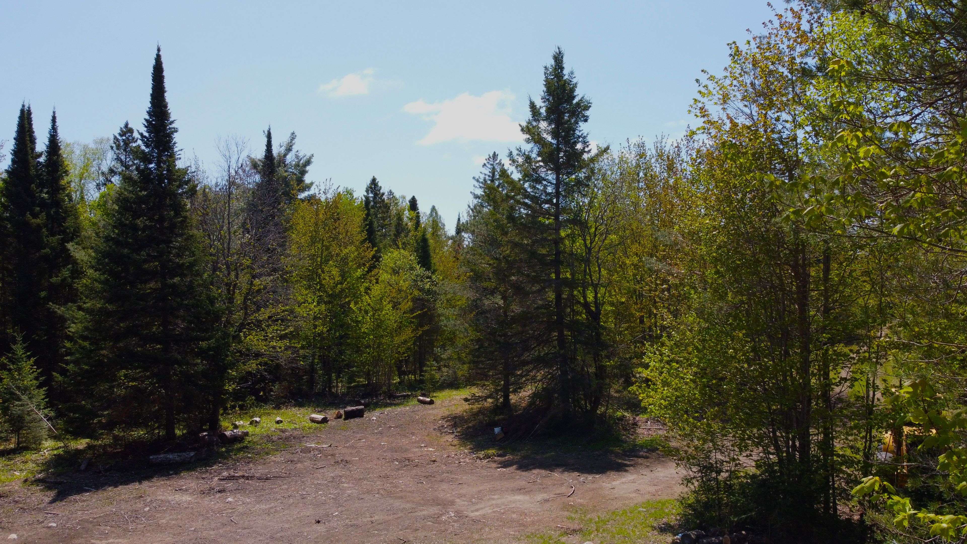 Armour, ON P0A 1C0,224 Madill RD