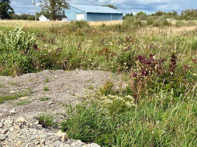 Englehart, ON P0J 1H0,0 Highway 11 North HWY #North Triangle