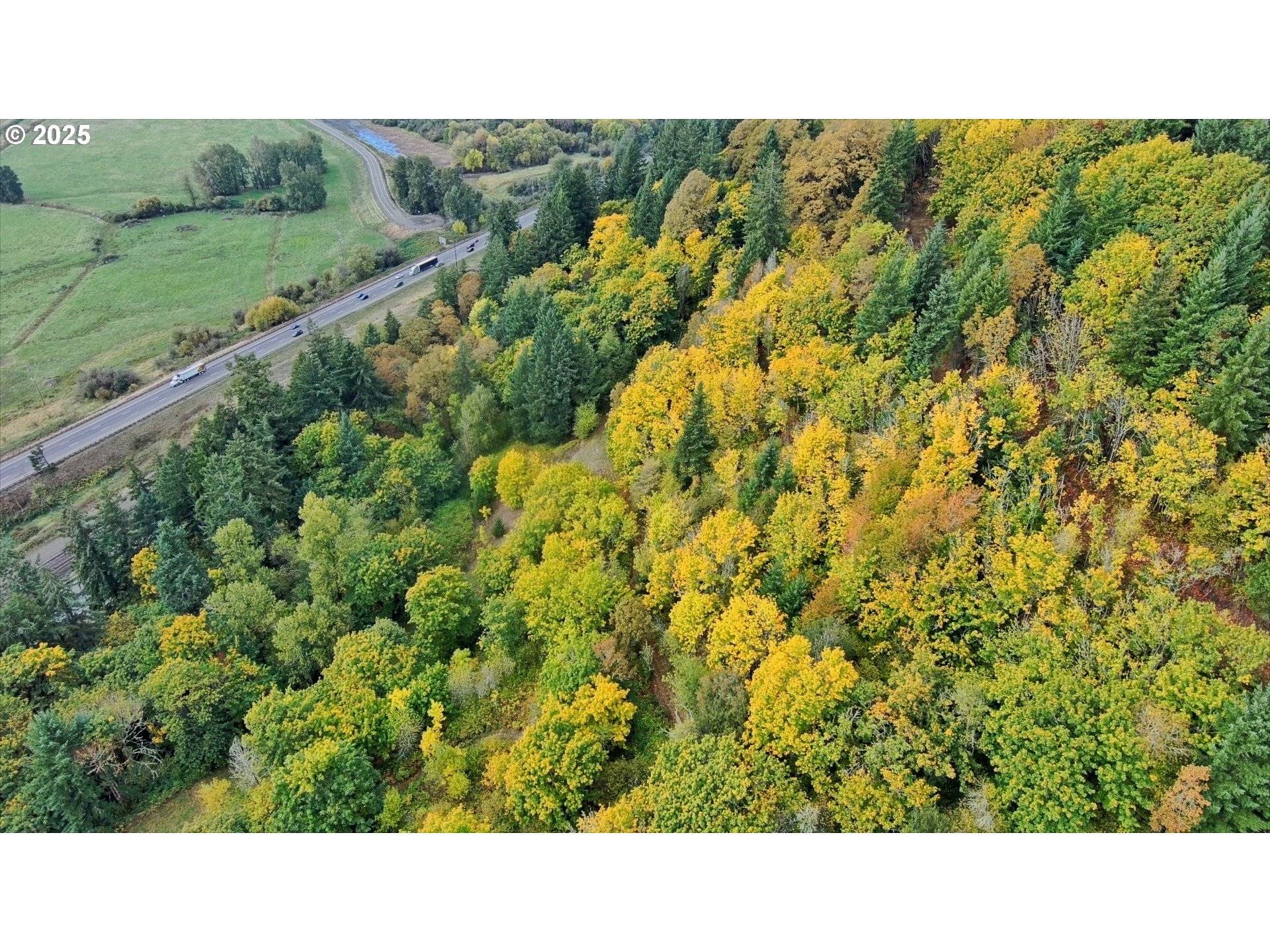 Woodland, WA 98674,239 Columbia View DR