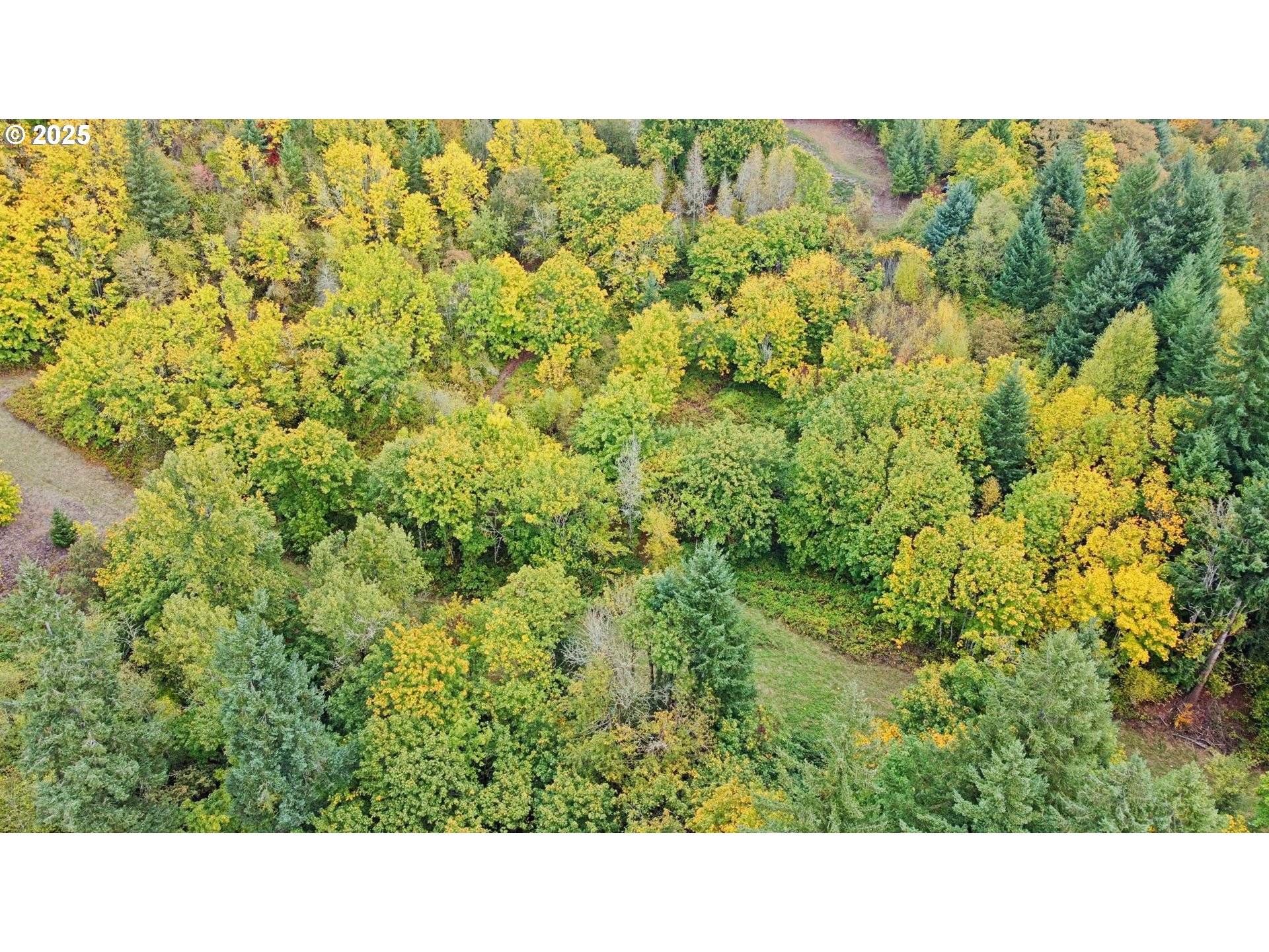 Woodland, WA 98674,239 Columbia View DR