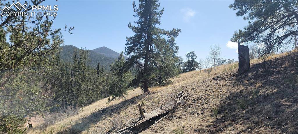 Cripple Creek, CO 80813,191 Portland DR