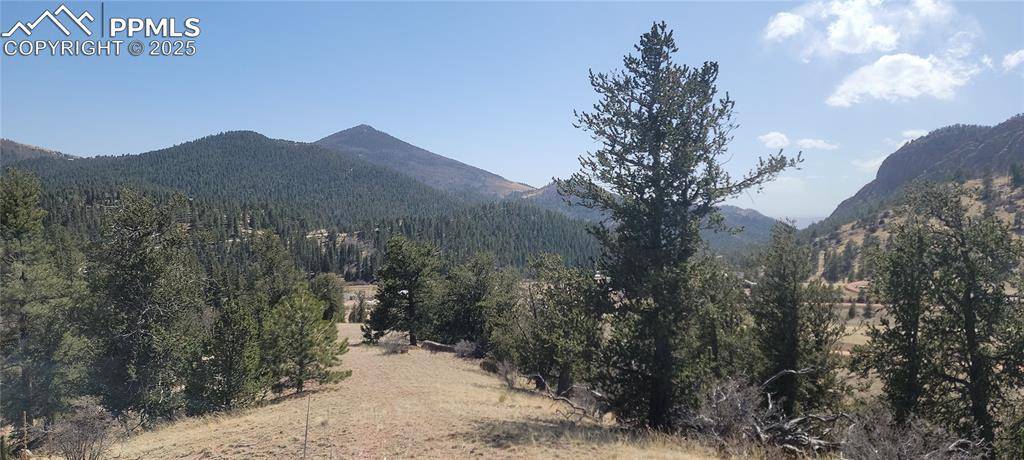 Cripple Creek, CO 80813,257 Portland DR