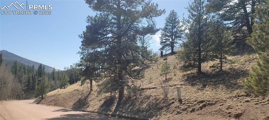 Cripple Creek, CO 80813,257 Portland DR