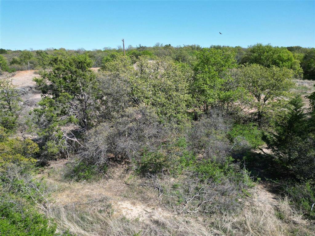 Cisco, TX 76437,Lot 148 Hidden Shores Dr.