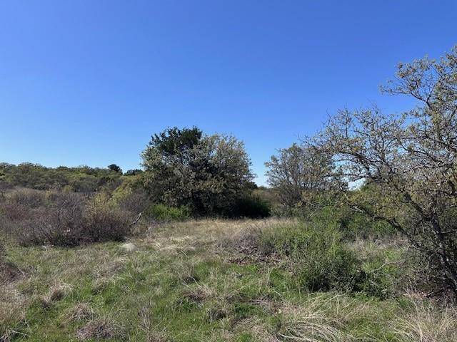Cisco, TX 76437,Lot 147 & 148 Hidden Shores