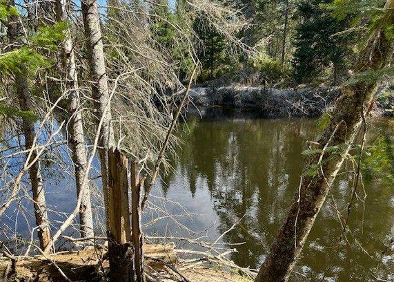 Minden Hills, ON K0M 2A1,0 County Road 503 N/A