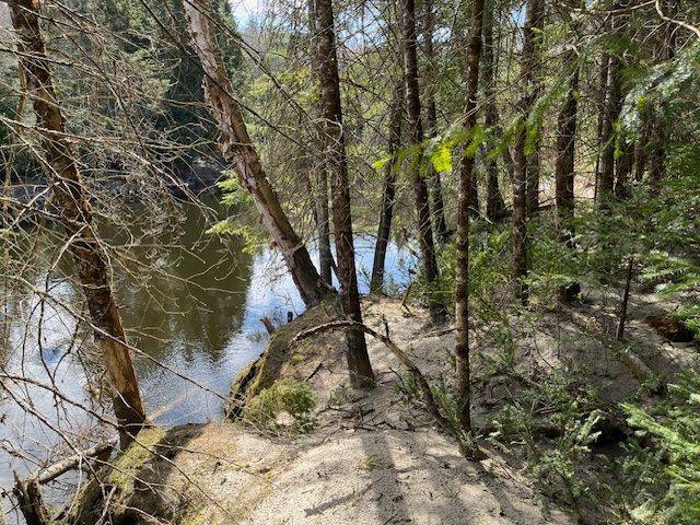 Minden Hills, ON K0M 2A1,0 County Road 503 N/A