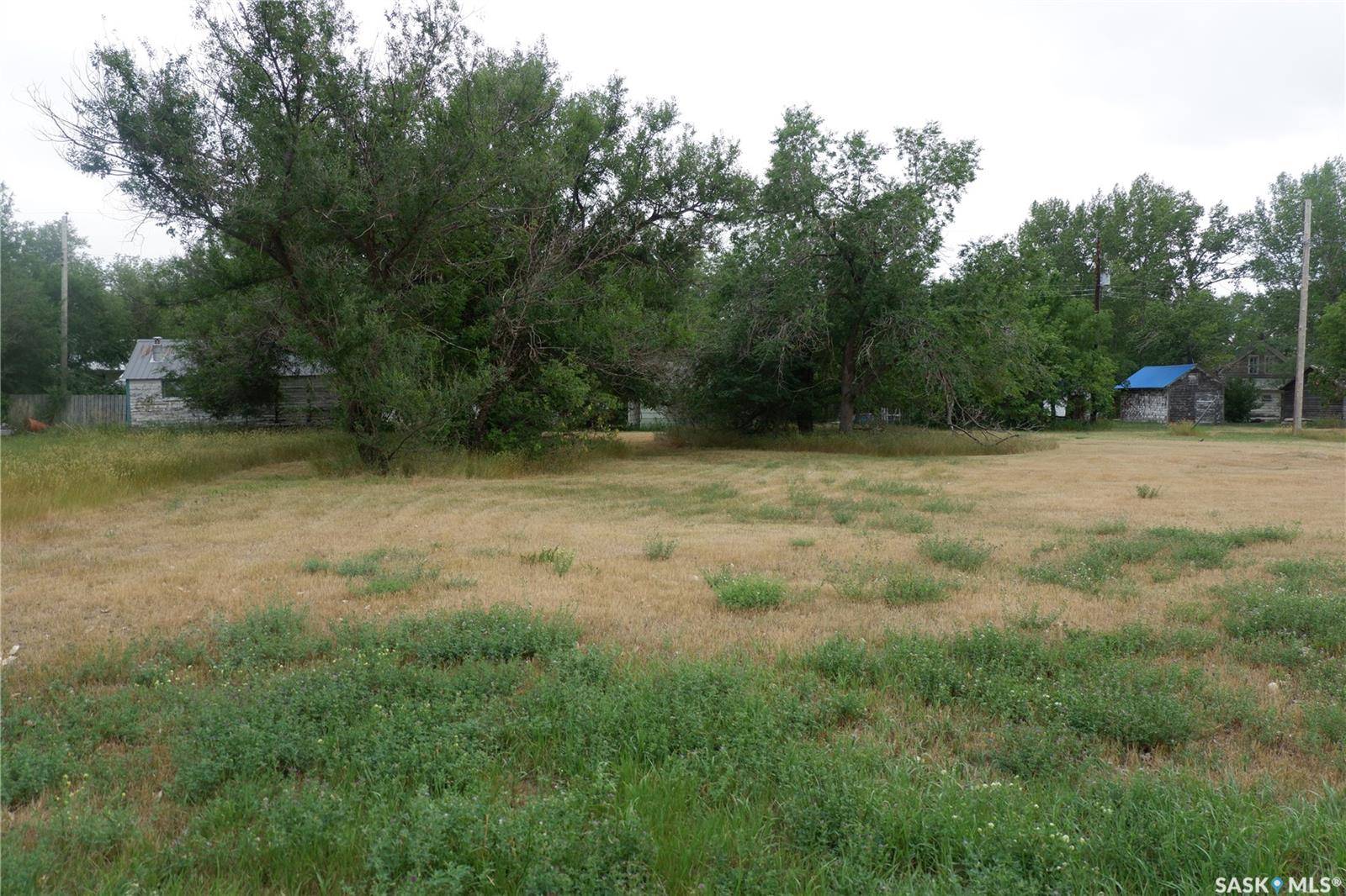 Willow Bunch Rm No. 42, SK S0H 3T0,4 & 6 Elziar STREET