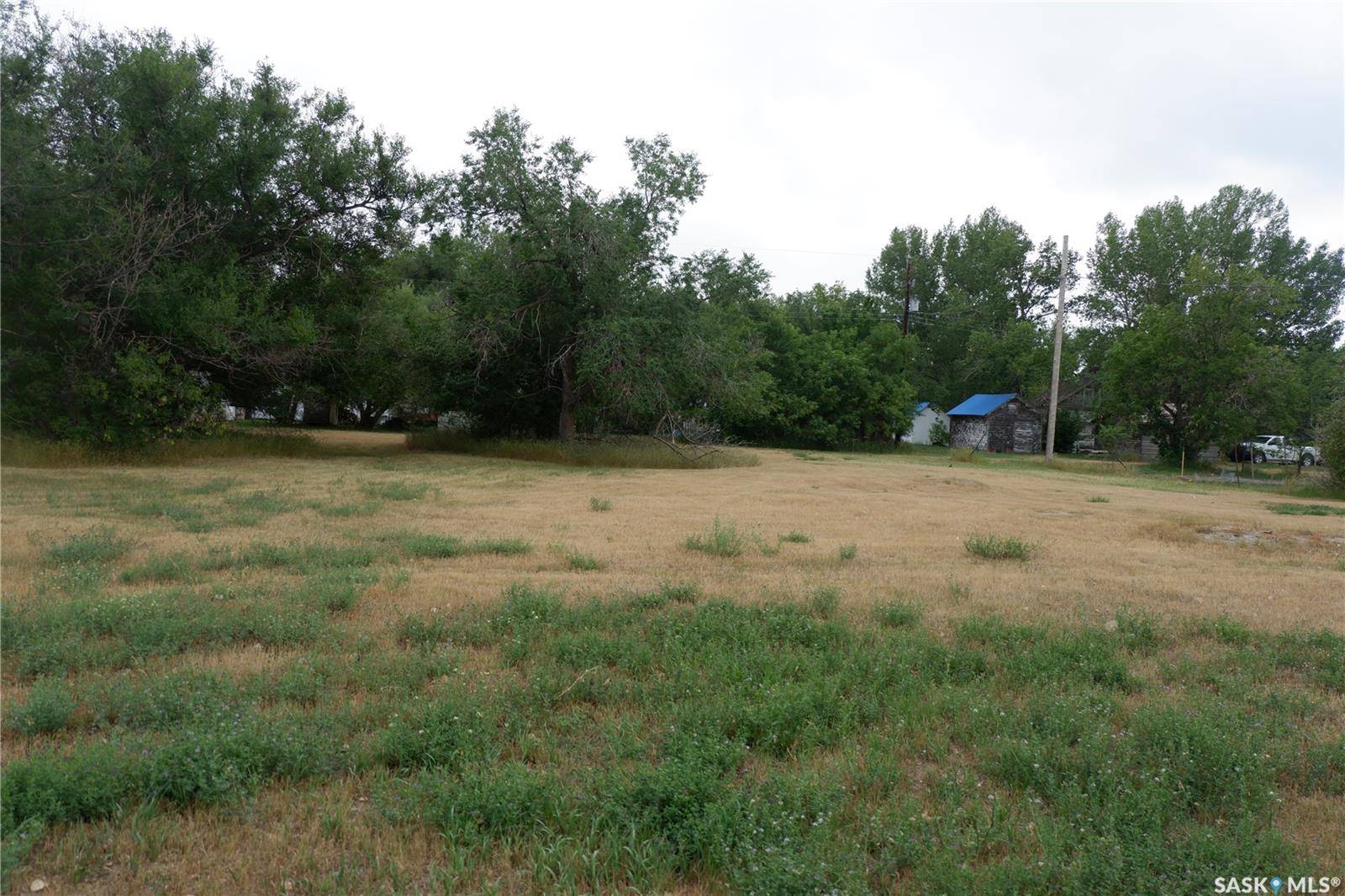 Willow Bunch Rm No. 42, SK S0H 3T0,4 & 6 Elziar STREET