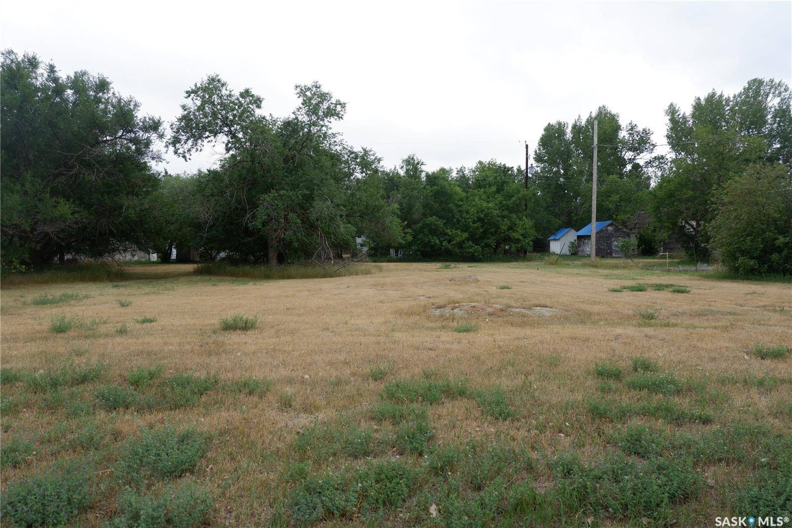 Willow Bunch Rm No. 42, SK S0H 3T0,4 & 6 Elziar STREET