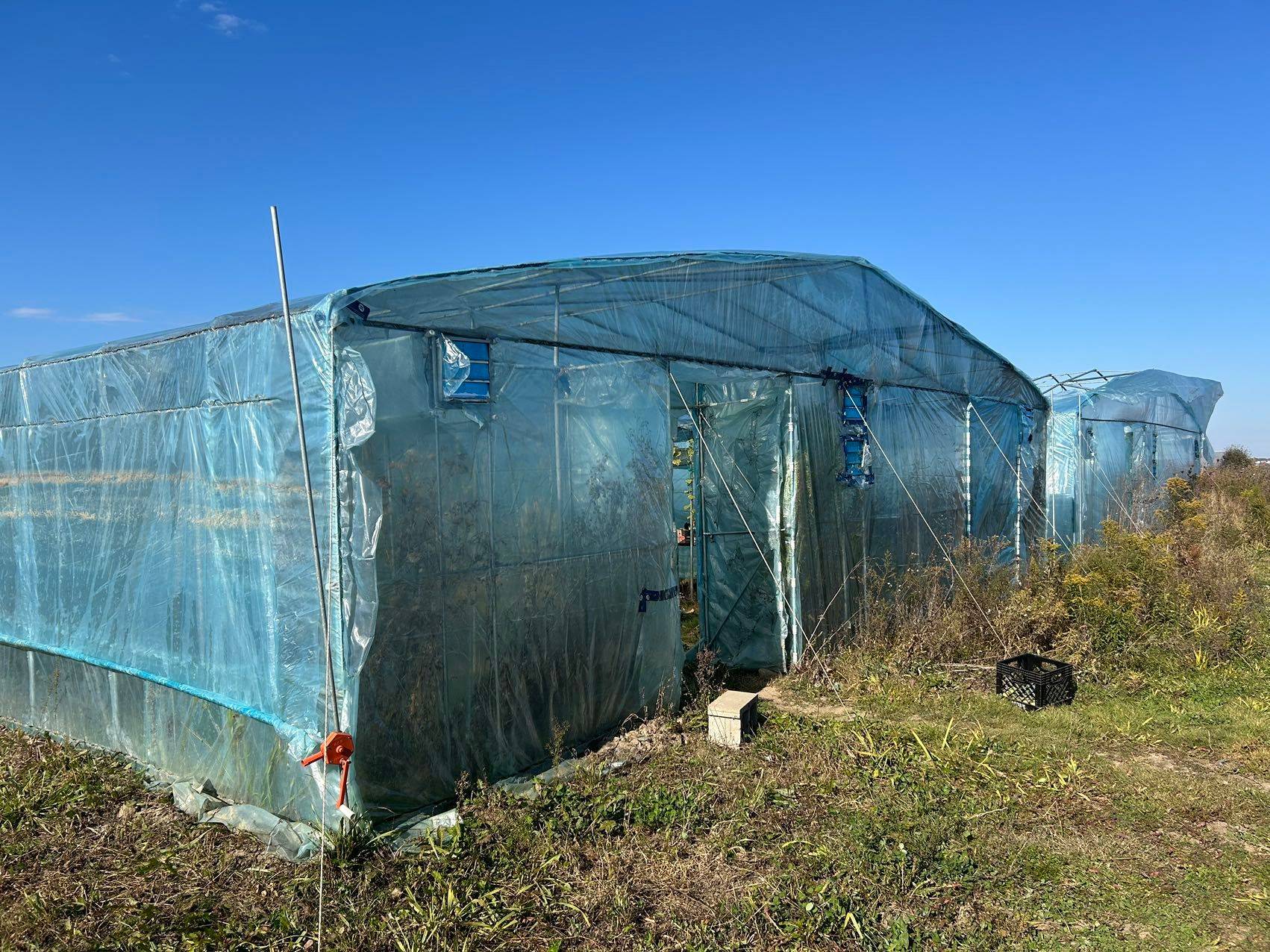 Brock, ON L0K 1A0,2065B Thorah Concession Rd 4 RD