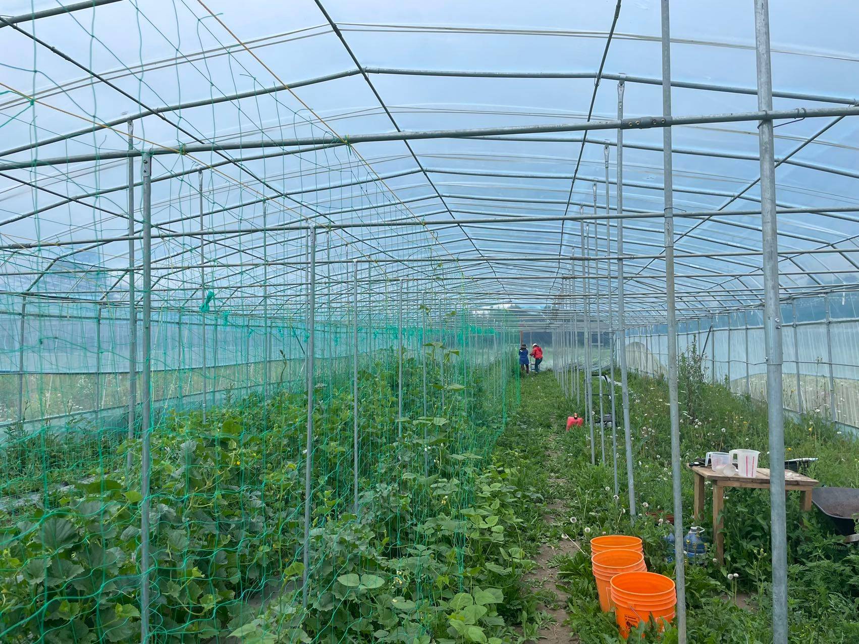 Brock, ON L0K 1A0,2065B Thorah Concession Rd 4 RD