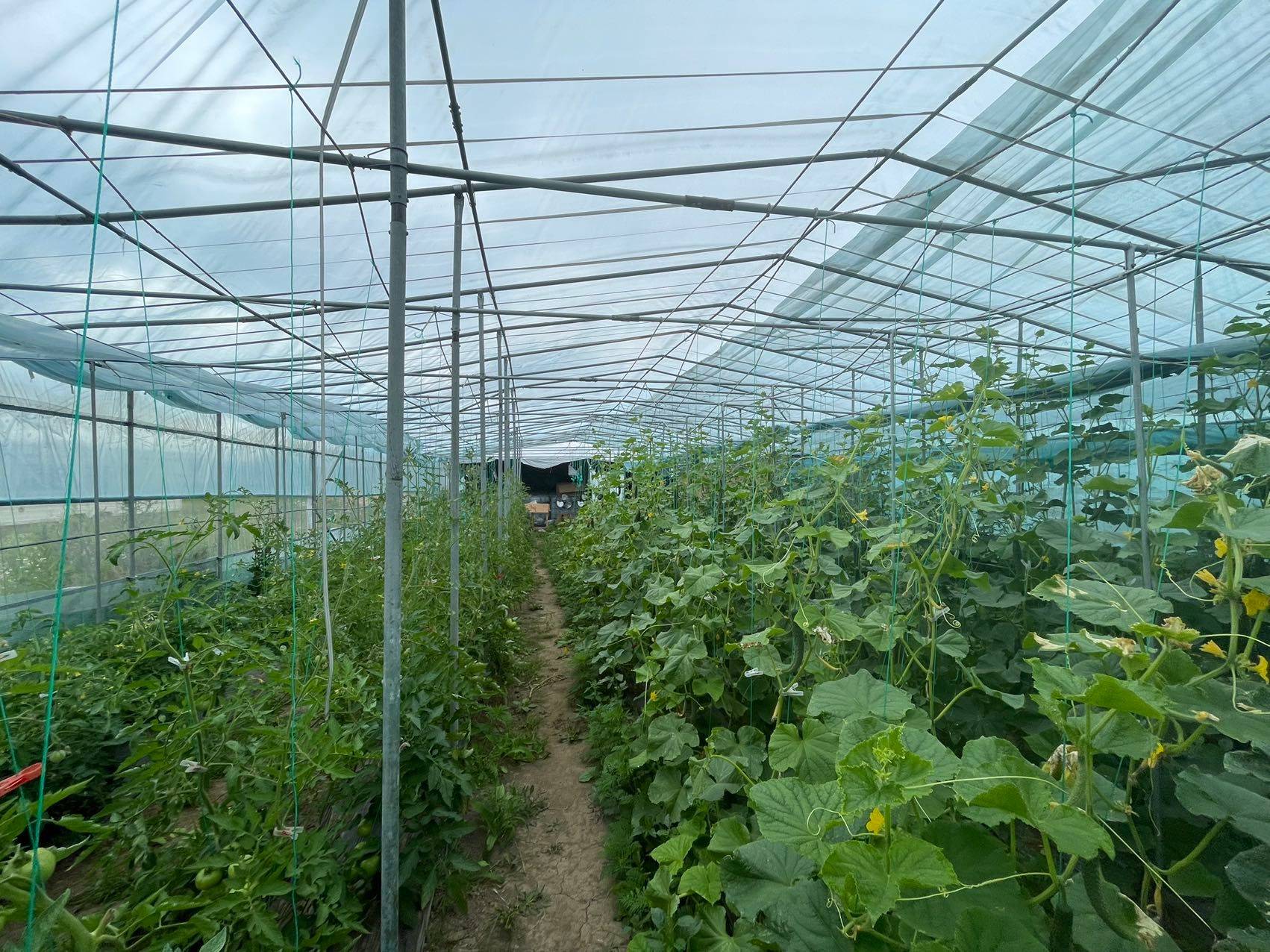 Brock, ON L0K 1A0,2065B Thorah Concession Rd 4 RD