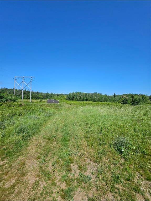 O UC cemetery, Shearstown, NL A0A 1G0