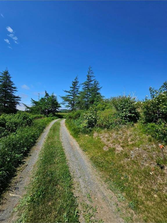 O UC cemetery, Shearstown, NL A0A 1G0