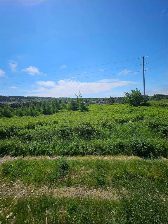 O UC cemetery, Shearstown, NL A0A 1G0