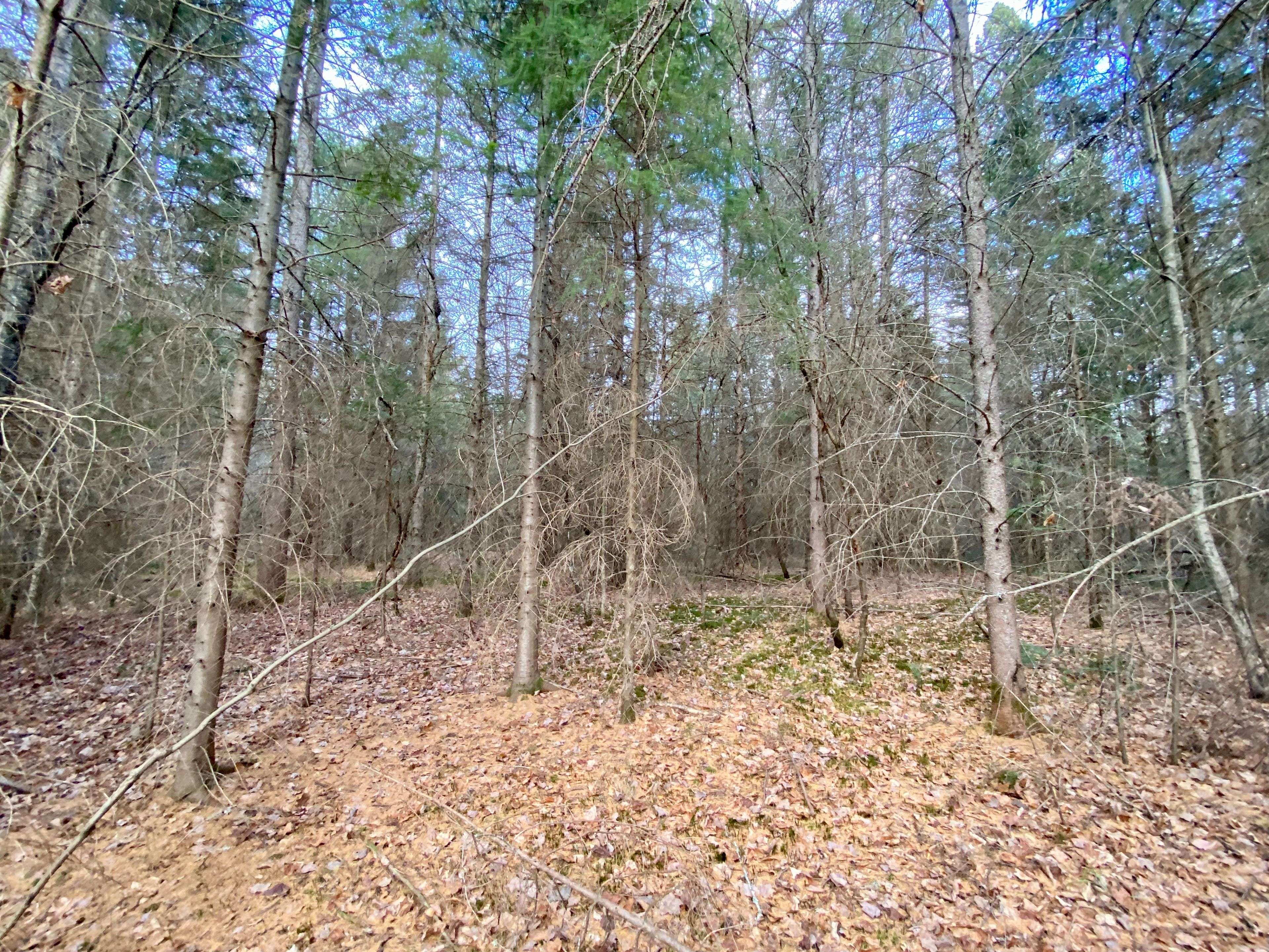 LOT 0-B LEGROU'S LAKE RD, Parry Sound Remote Area, ON P0H 1A0