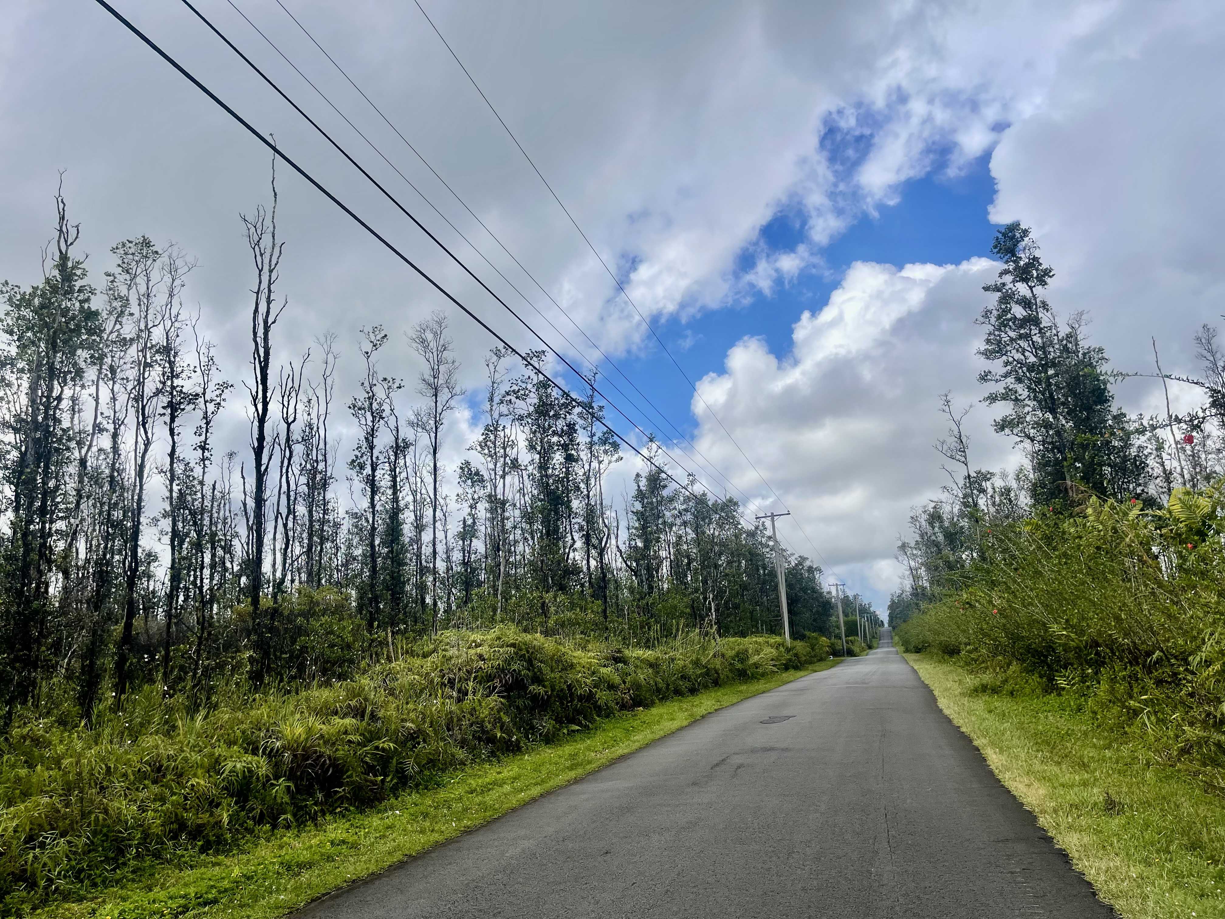 Kurtistown, HI 96760,16-463 AULII ST