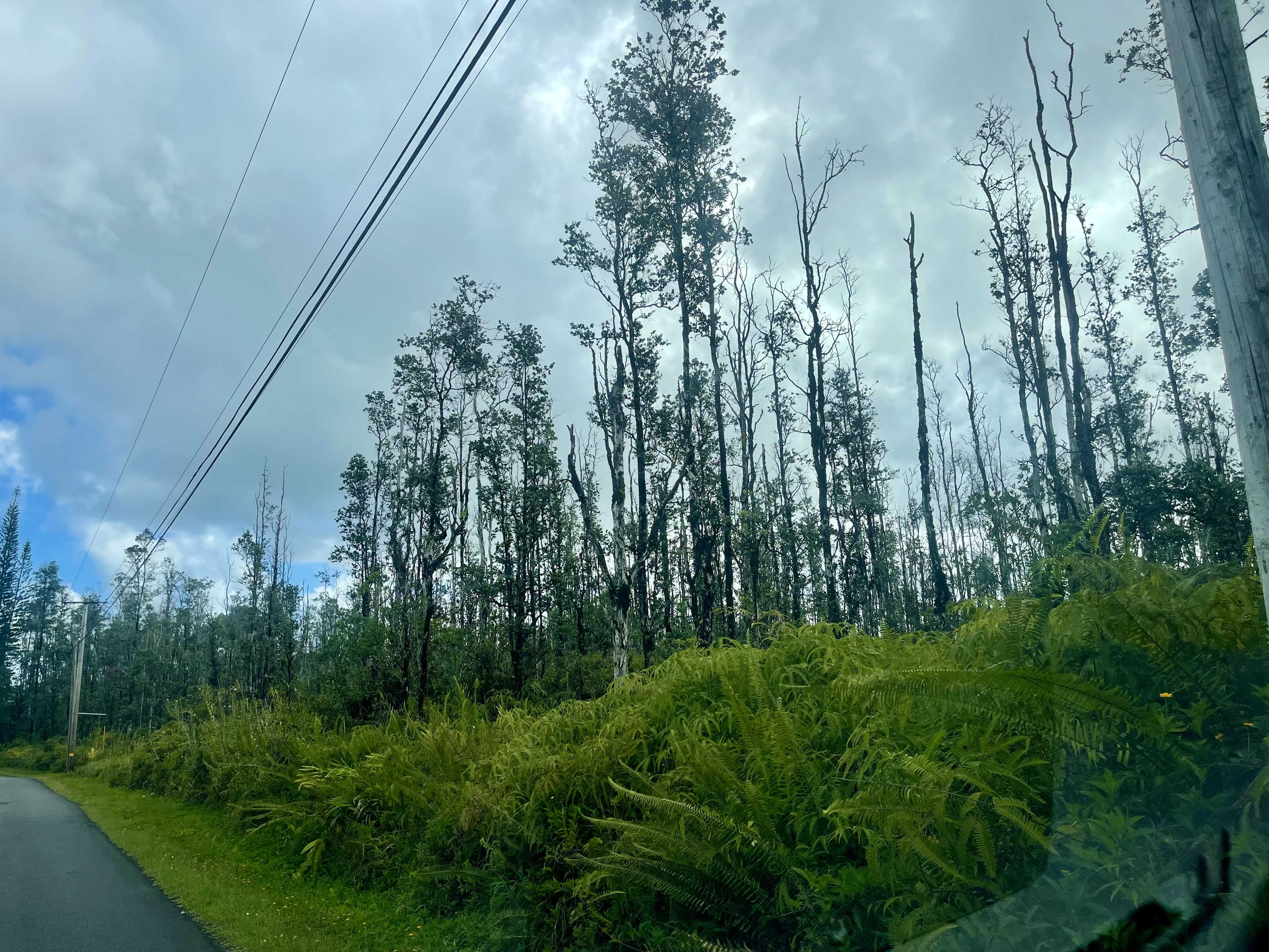 Kurtistown, HI 96760,16-463 AULII ST