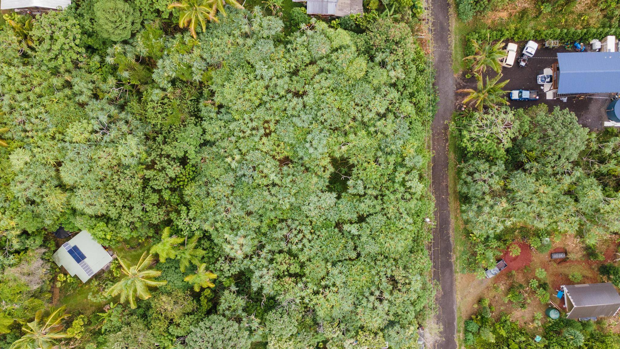 KOAEKEA ST, Pahoa, HI 96778