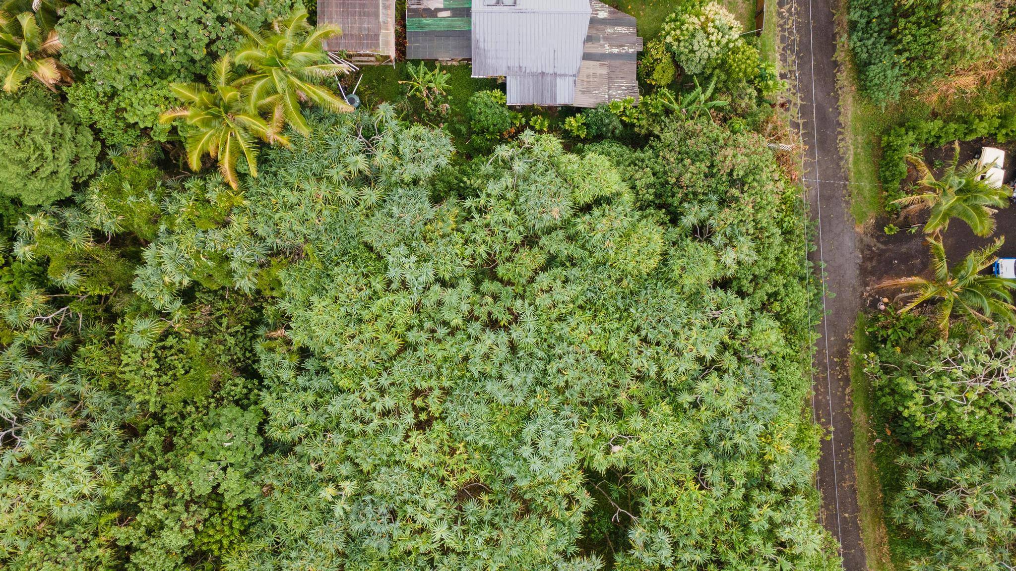 KOAEKEA ST, Pahoa, HI 96778