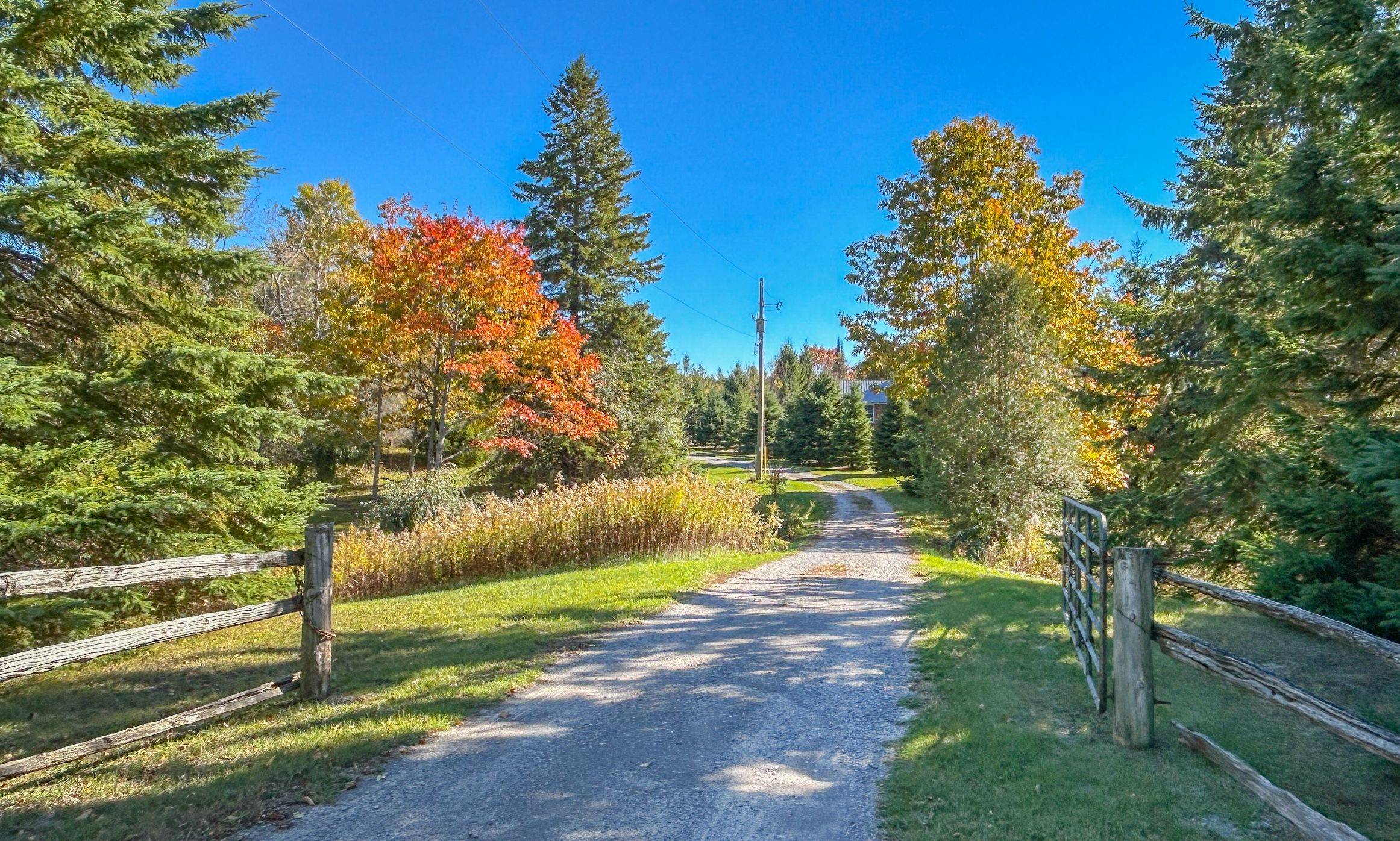 Kawartha Lakes, ON L0A 1A0,556 Hwy 7A HWY