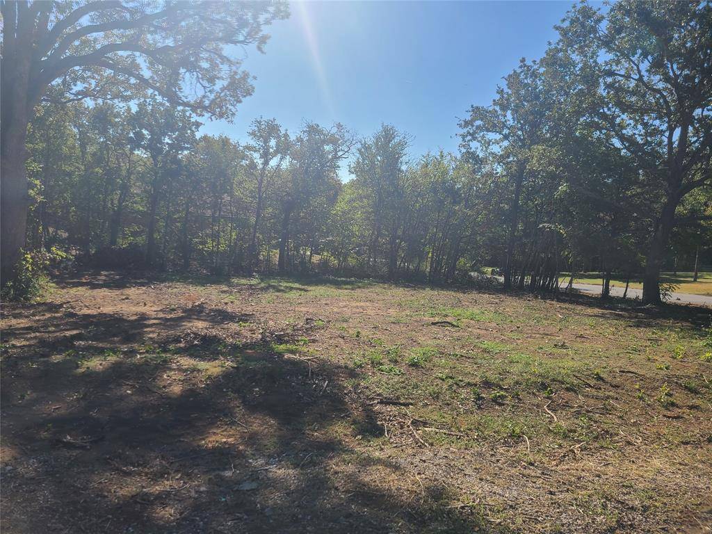 Oak Point, TX 75068,521 Bronco Trail