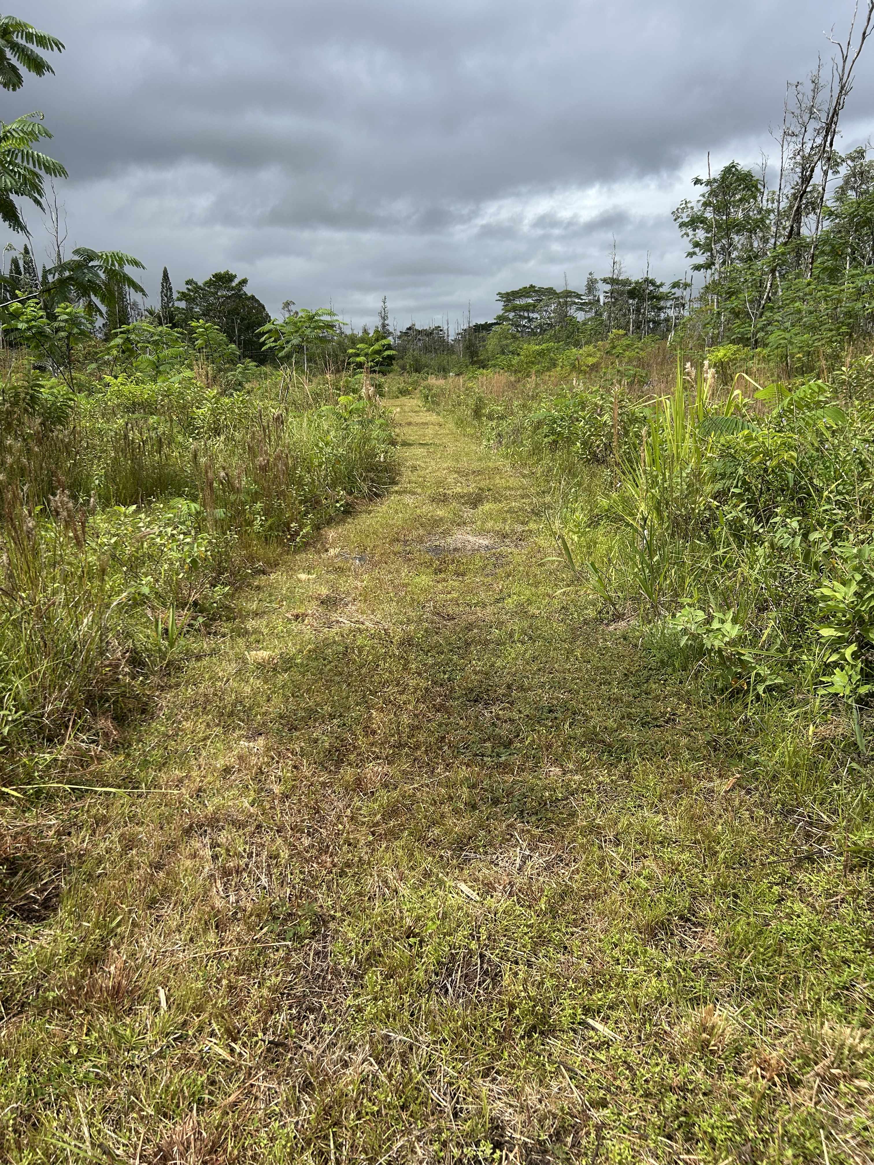 Kurtistown, HI 96760,16-1889 36TH AVE