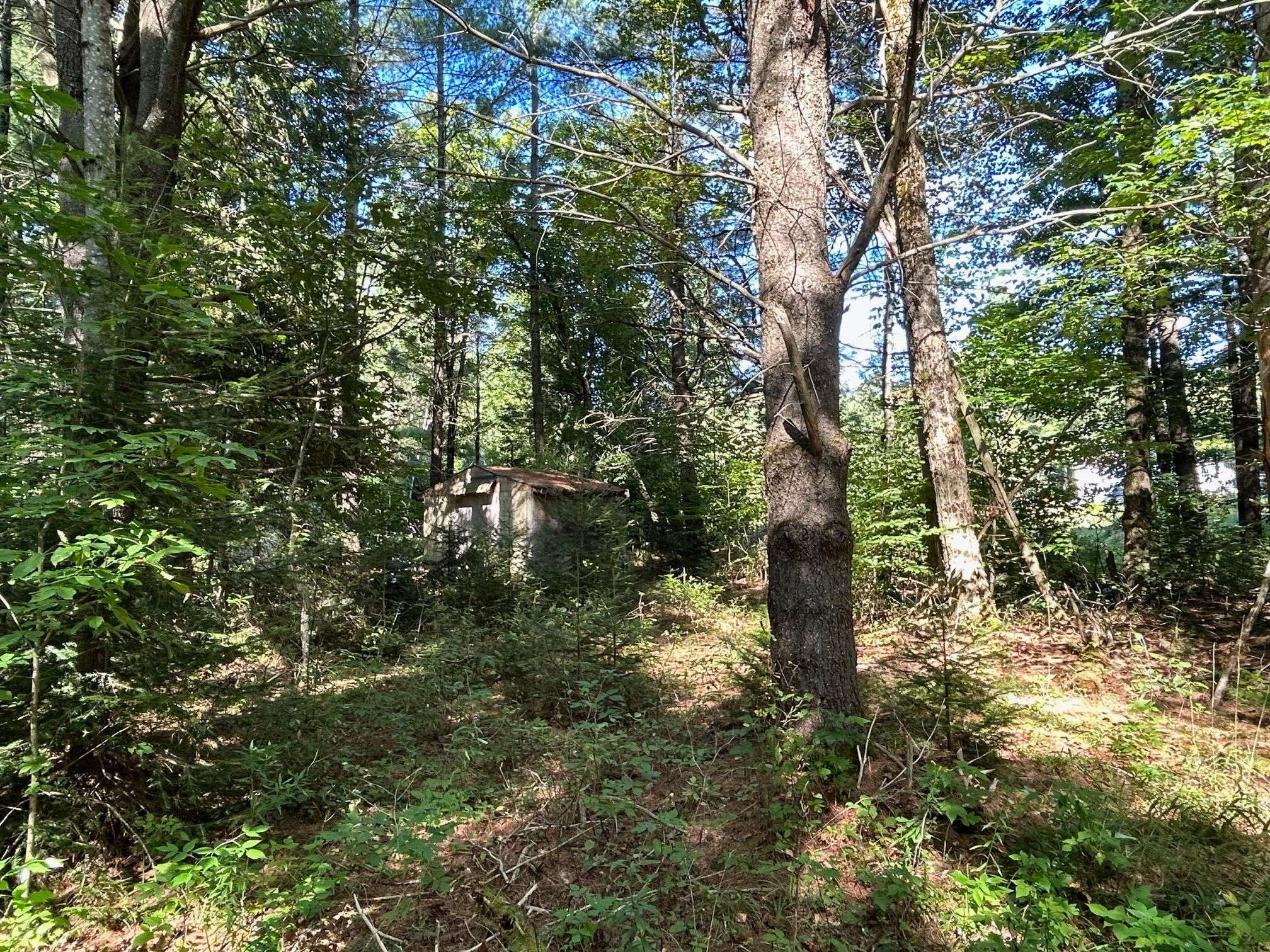 Dysart Et Al, ON K0M 1S0,0 GATES RD