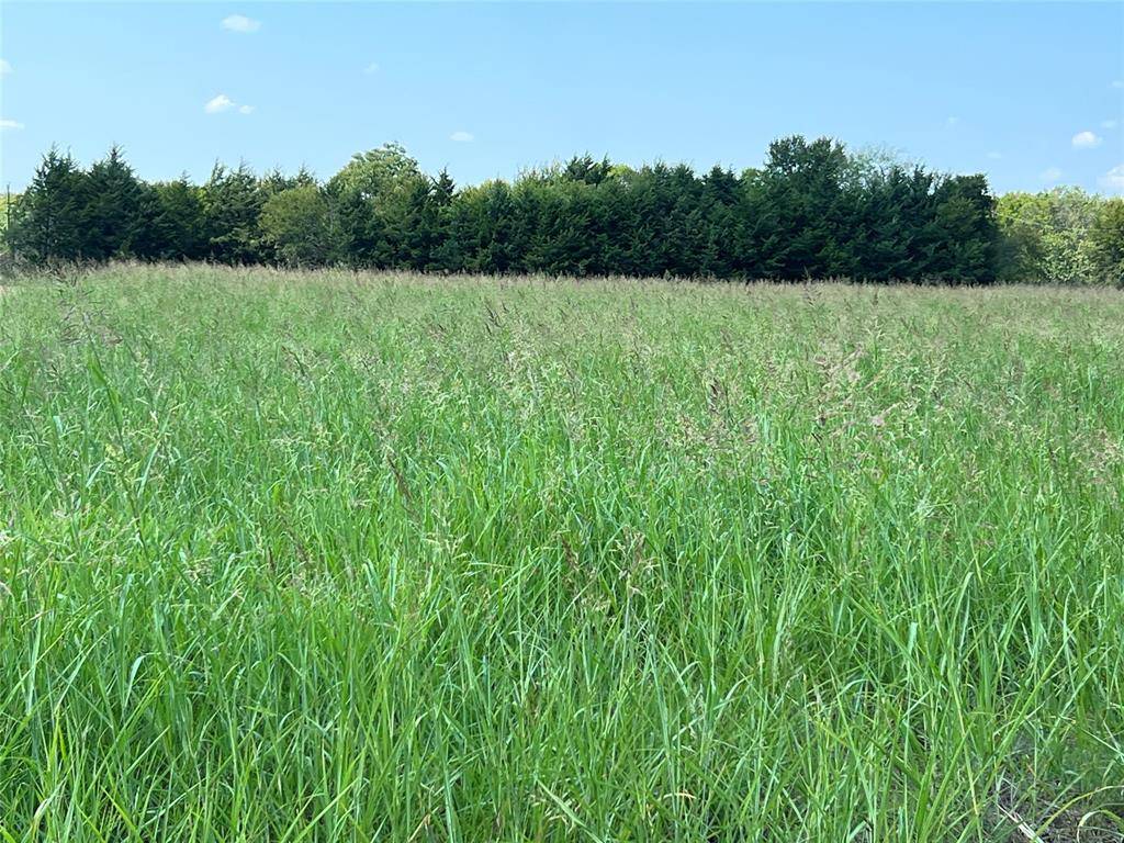 Gober, TX 75443,1121 County Road 3715