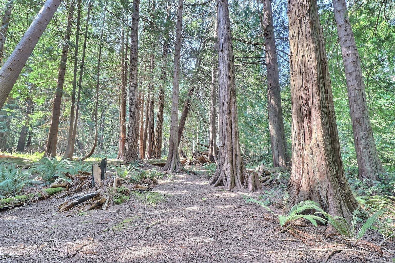 Hornby Island, BC V0R 1Z0,6375 St Johns Point Rd