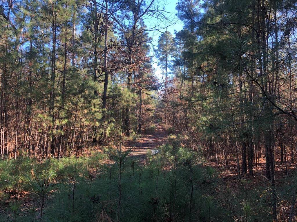 0 Highway 160, Plain Dealing, LA 71064