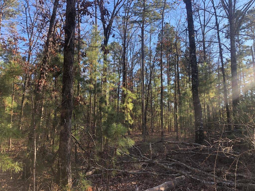 0 Highway 160, Plain Dealing, LA 71064
