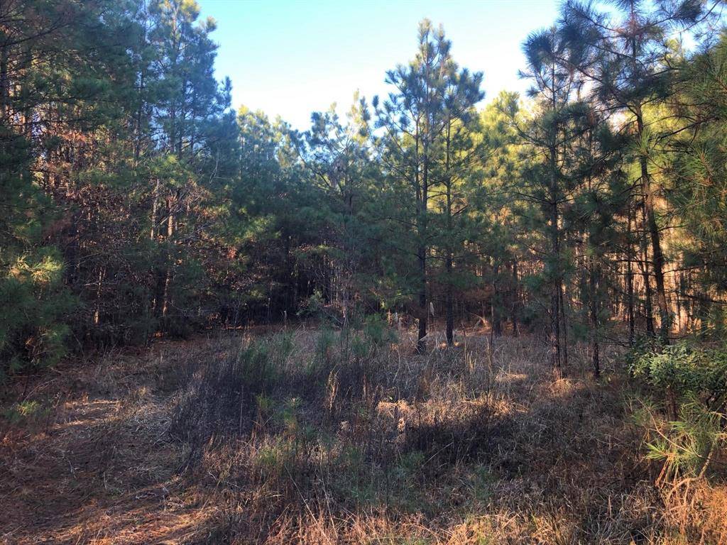 0 Highway 160, Plain Dealing, LA 71064