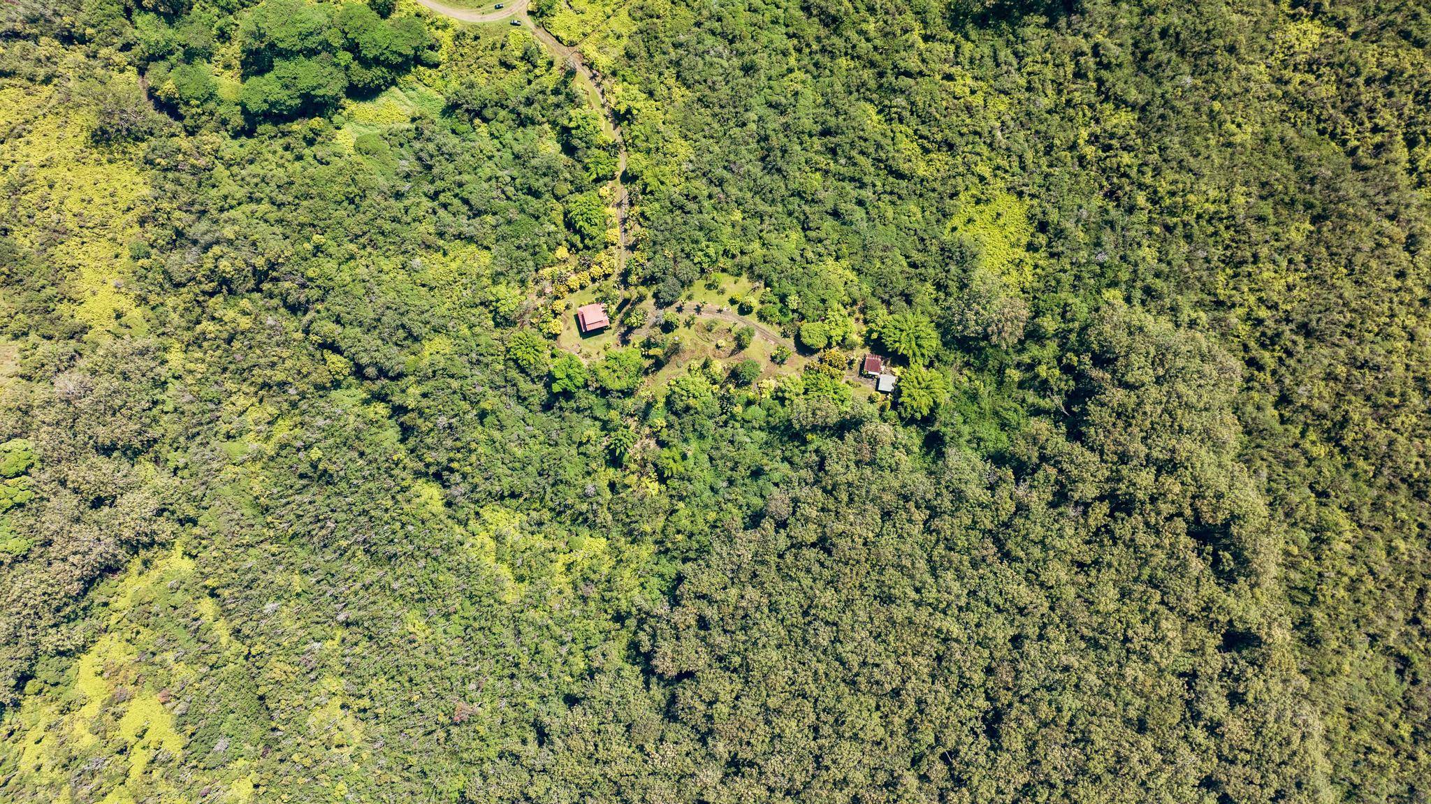 Hakalau, HI 96710,29-2828 KAIWIKI HOMESTEAD RD