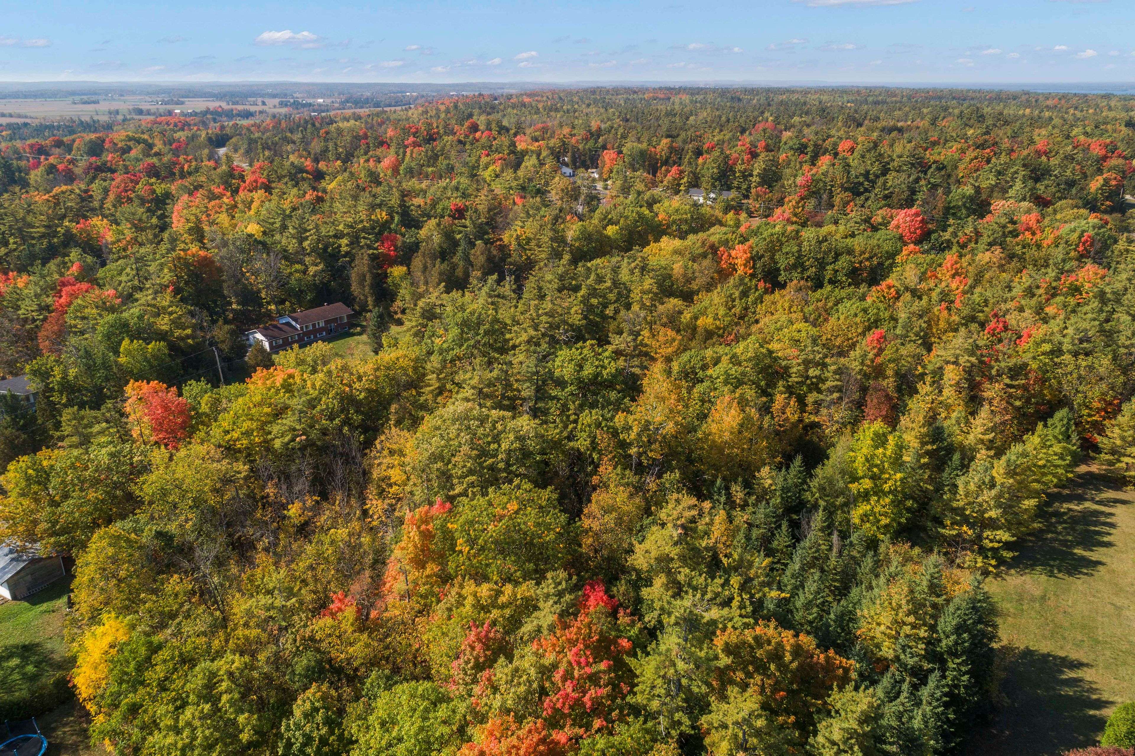 Mcnab/braeside, ON K0A 1G0,01 Braecrest AVE