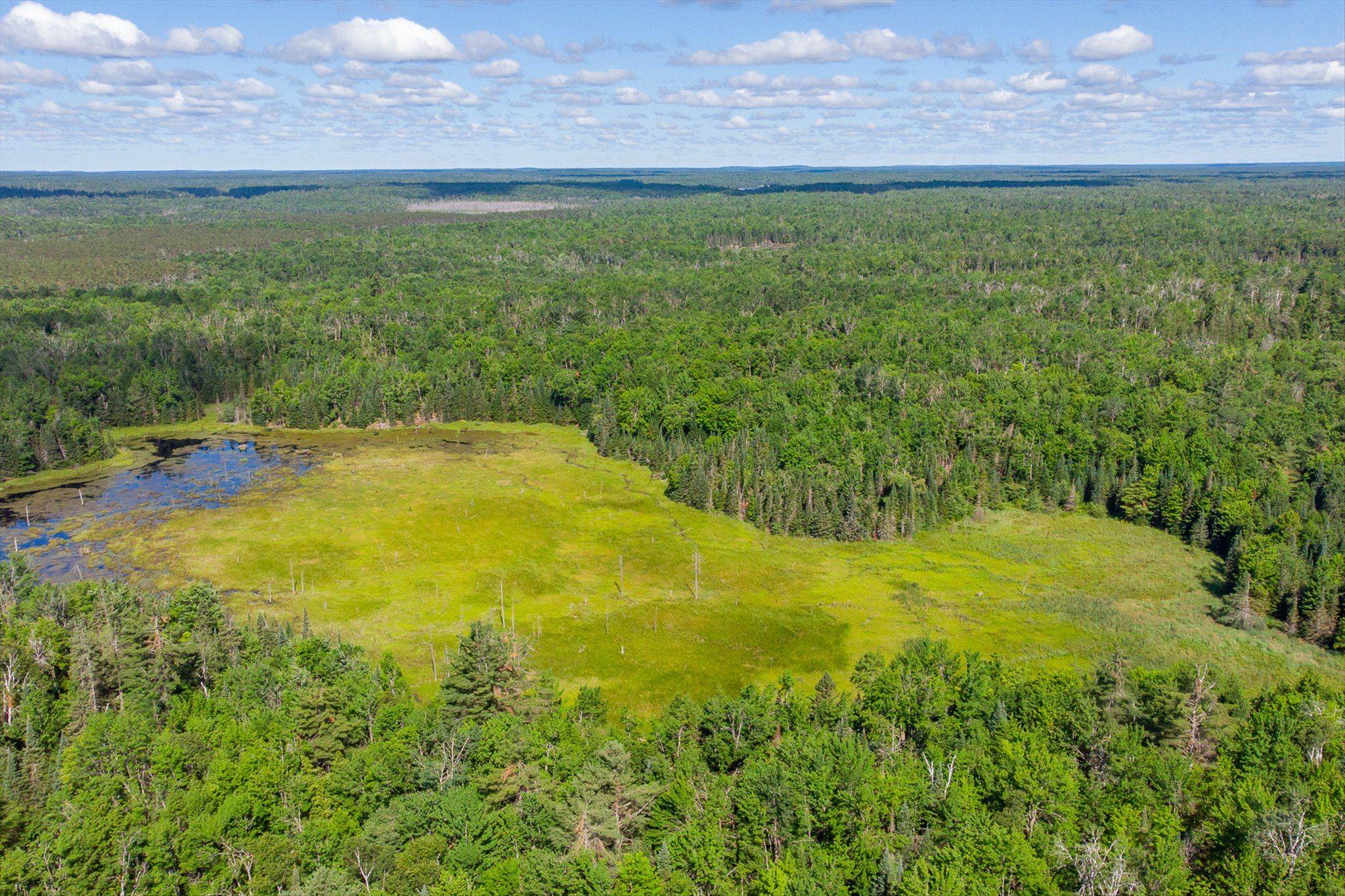 Kawartha Lakes, ON K0M 2A0,0000 MONCK RD