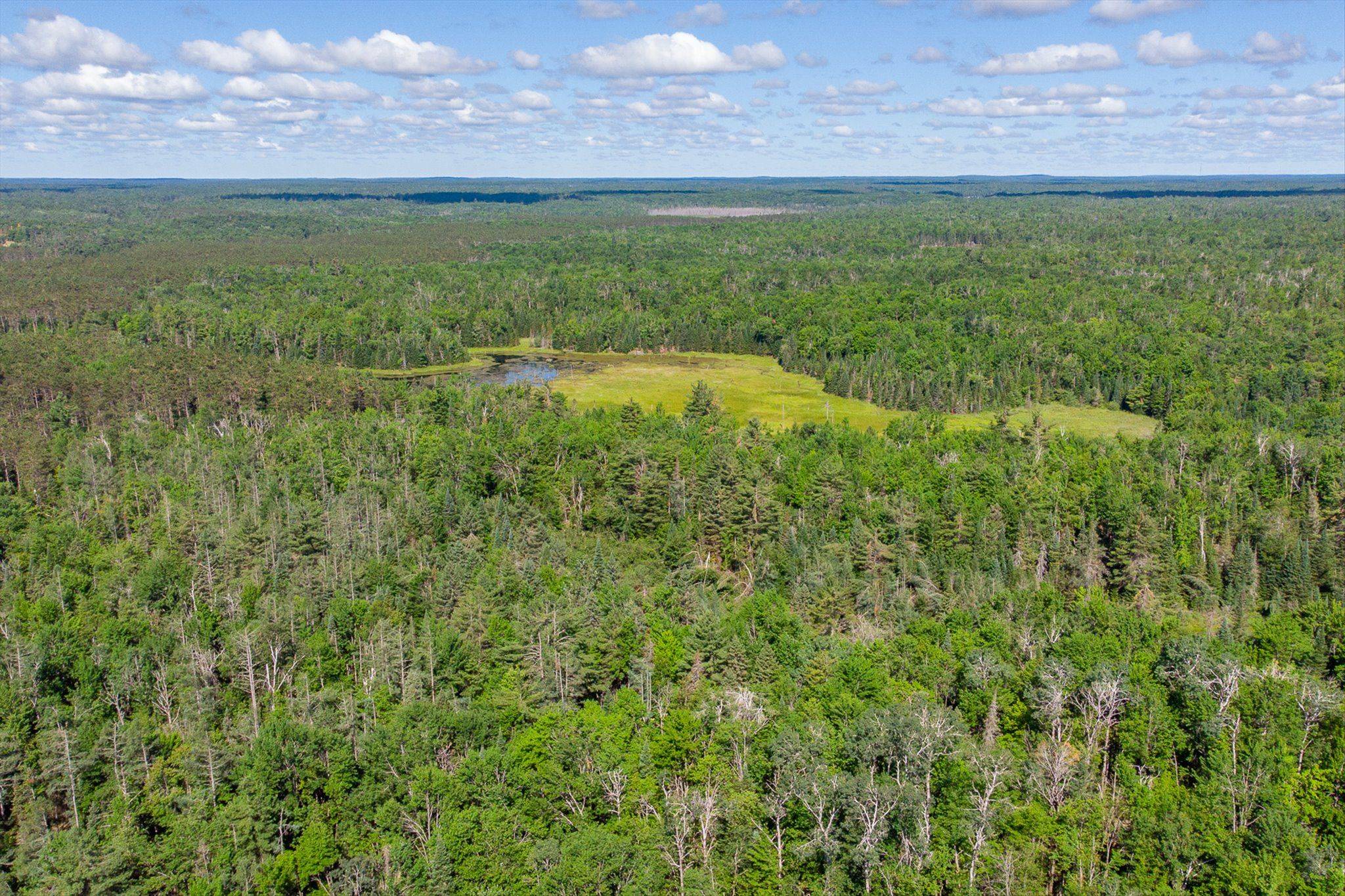 Kawartha Lakes, ON K0M 2A0,0000 MONCK RD