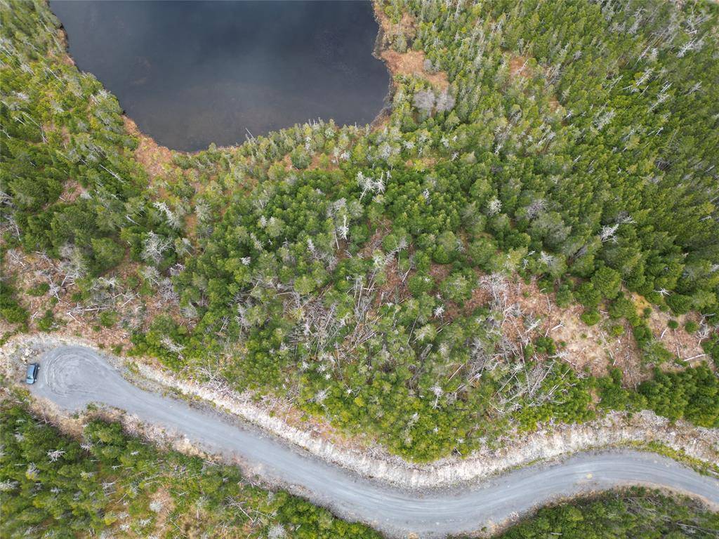 Deer Park, NL A0A 2RO,Lot #210 Fifth Island Pond
