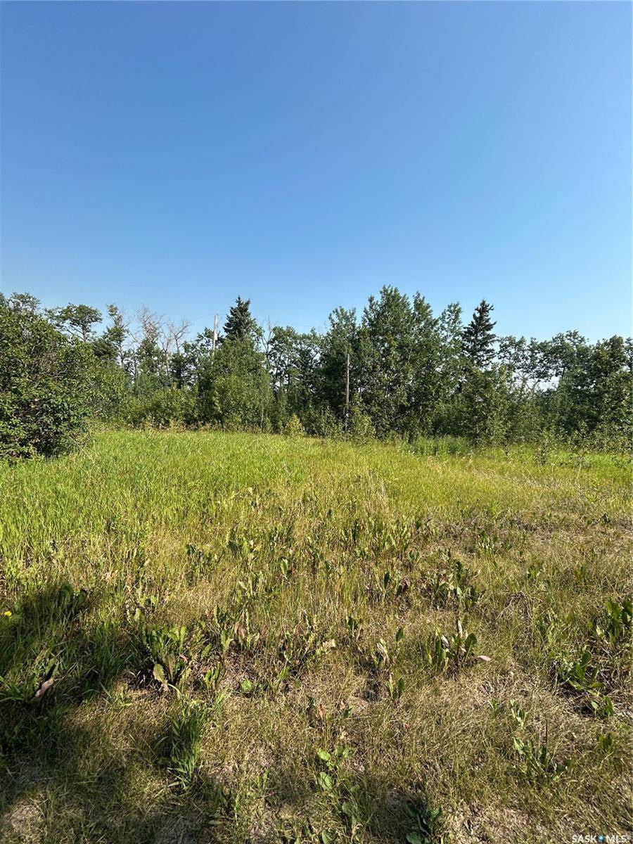 Kelvington, SK S0A 1W0,Rural Address