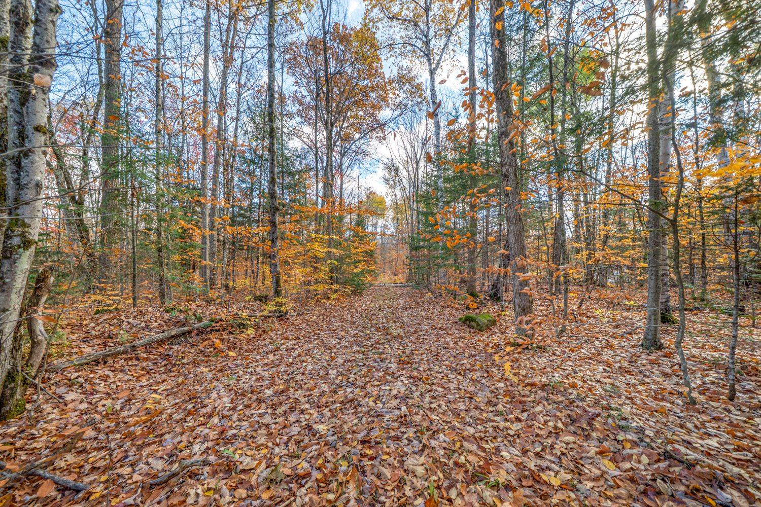 Huntsville, ON P1H 2J3,561 White House RD