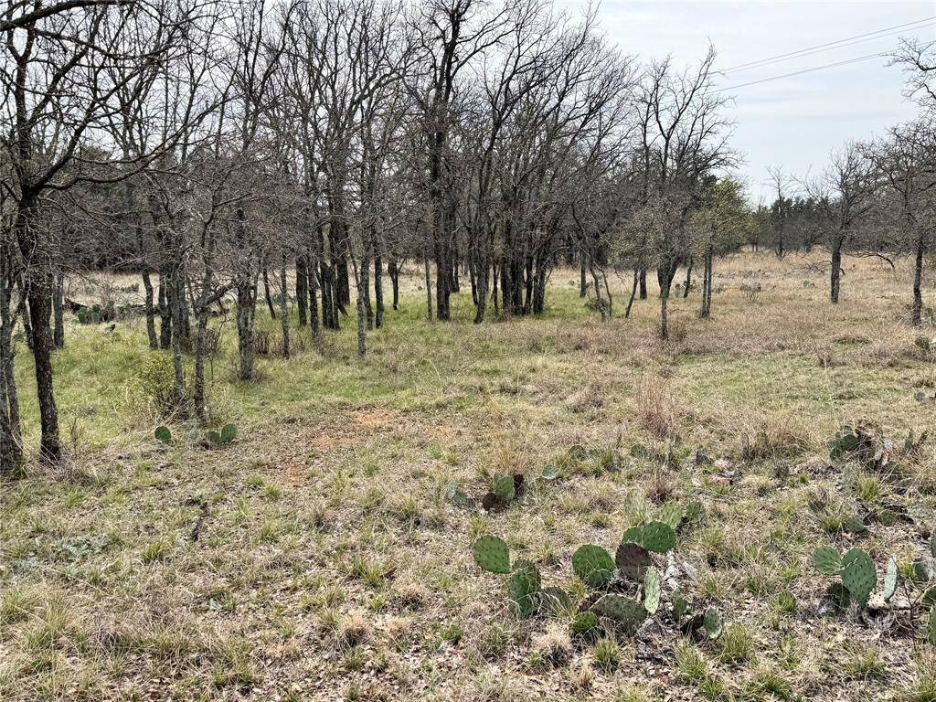 Brownwood, TX 76801,TBD Lot 240 Feather Bay Drive