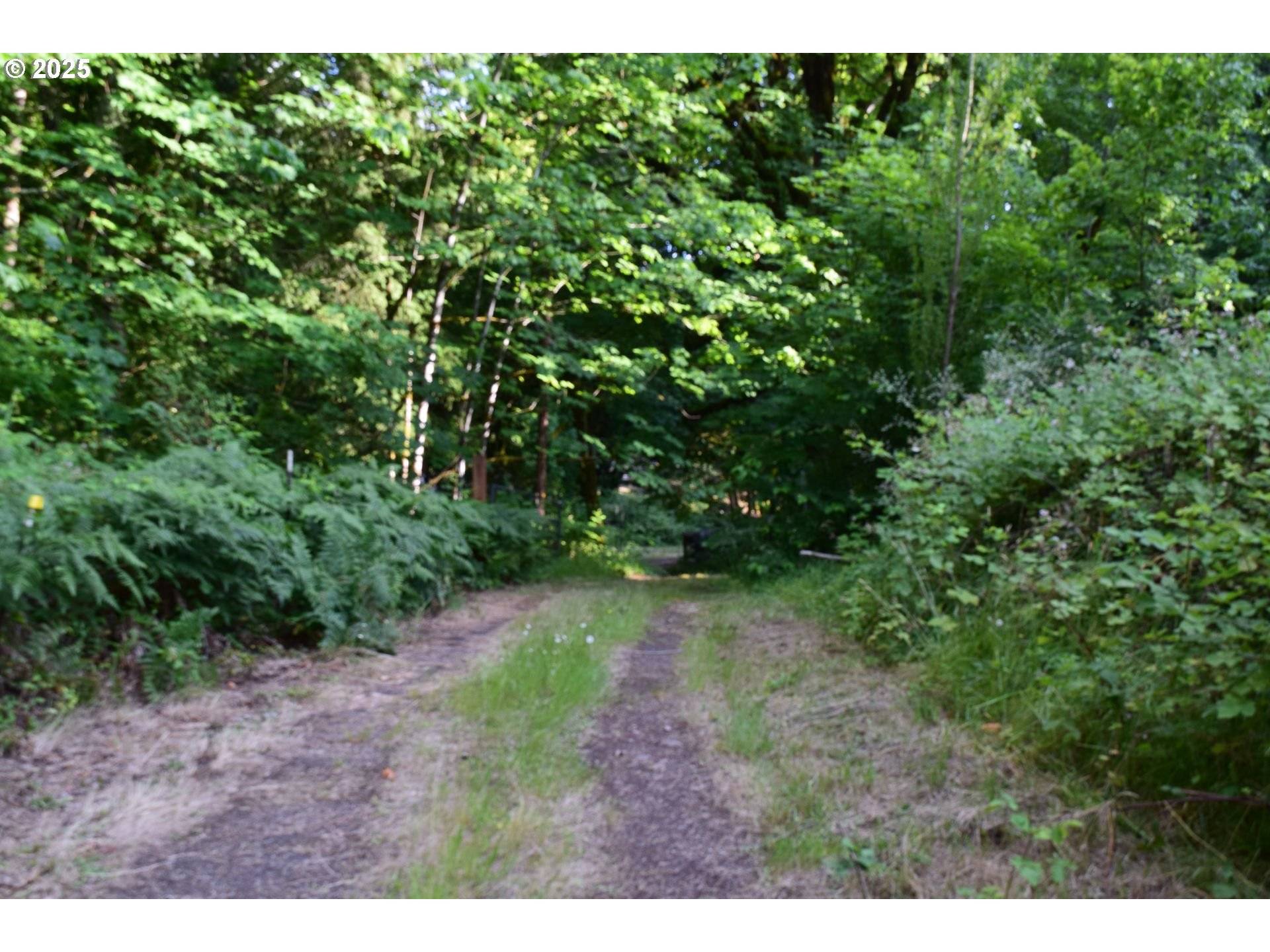 Leaburg, OR 97489,44561 McKenzie HWY