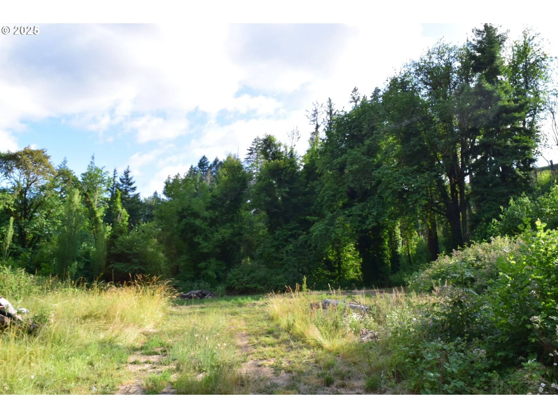 Leaburg, OR 97489,44561 McKenzie HWY