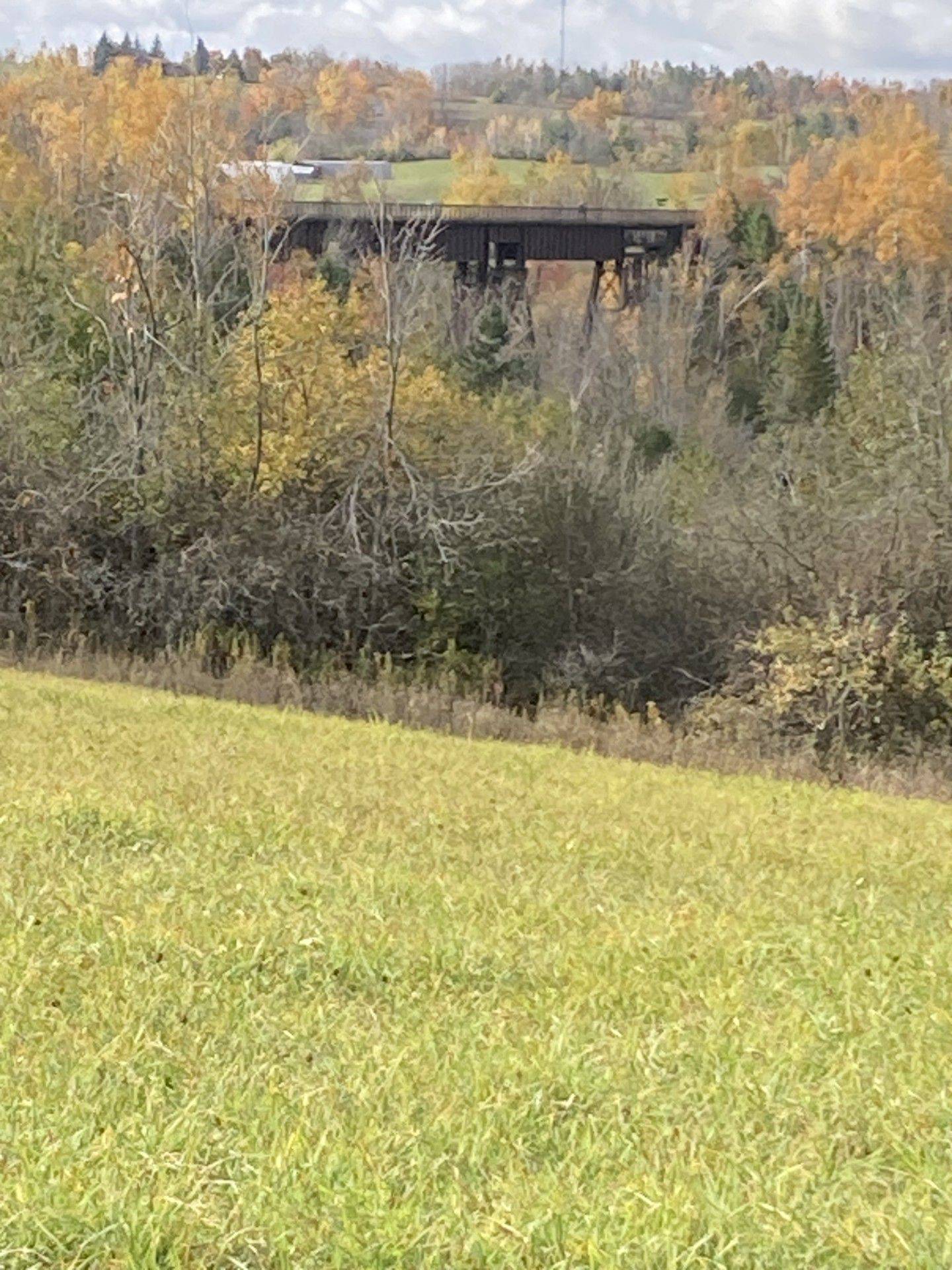 Kawartha Lakes, ON K0L 2W0,323 Orange Corners RD