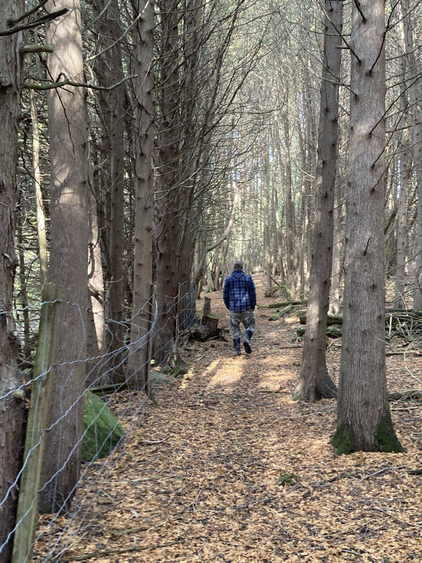 Kawartha Lakes, ON K0L 2W0,323 Orange Corners RD