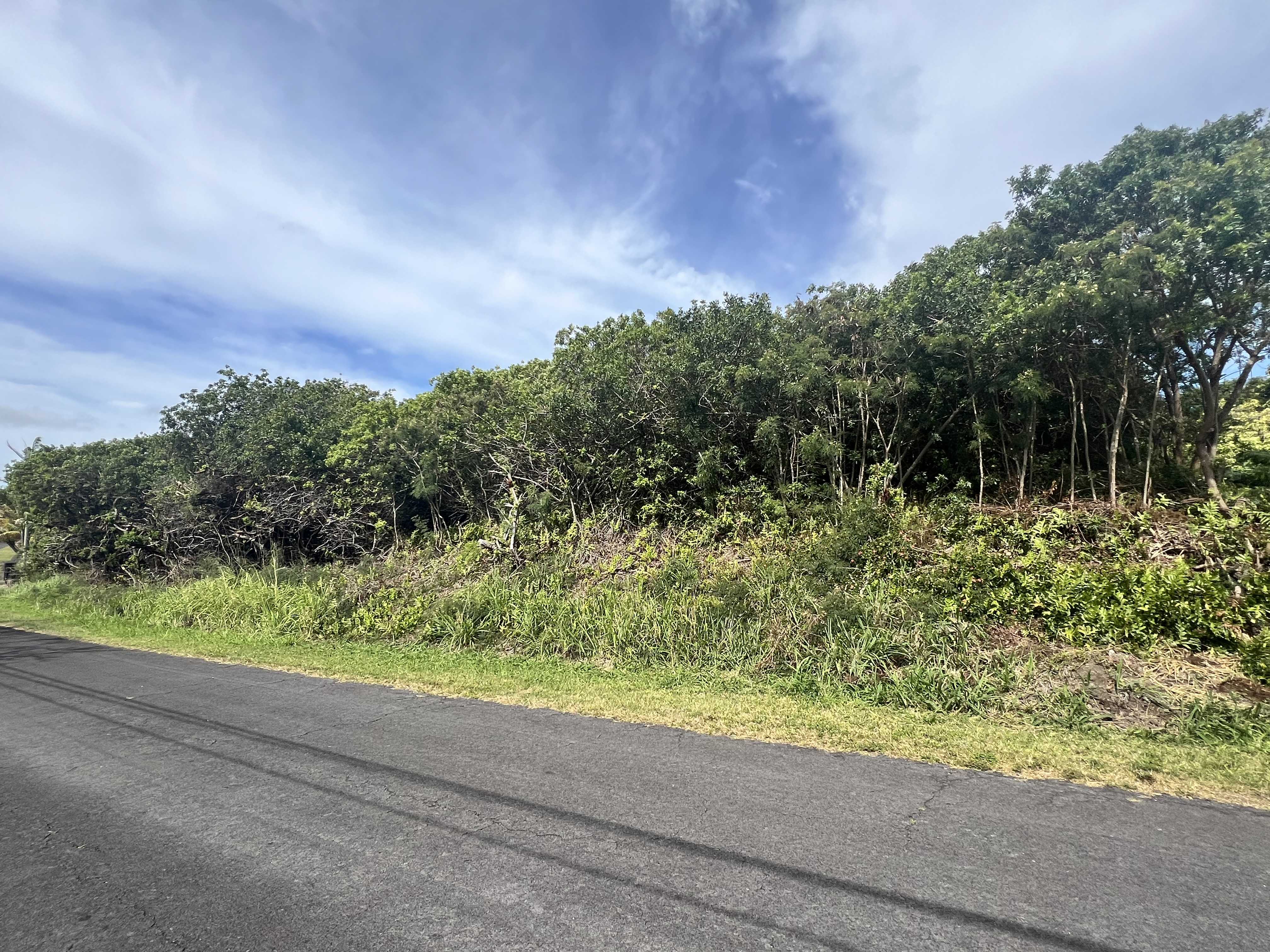 Naalehu, HI 96772,KAULUA ST