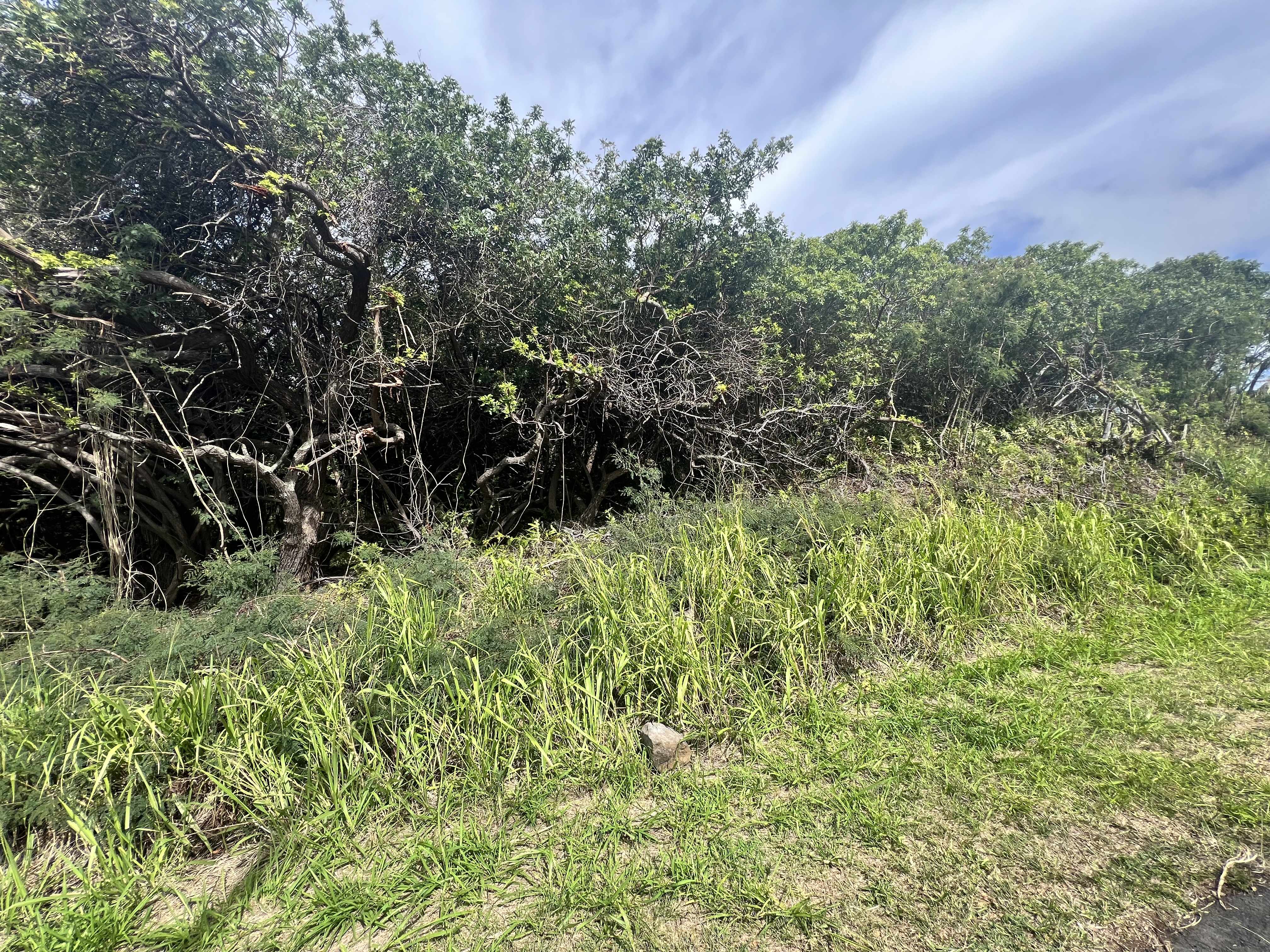 Naalehu, HI 96772,KAULUA ST